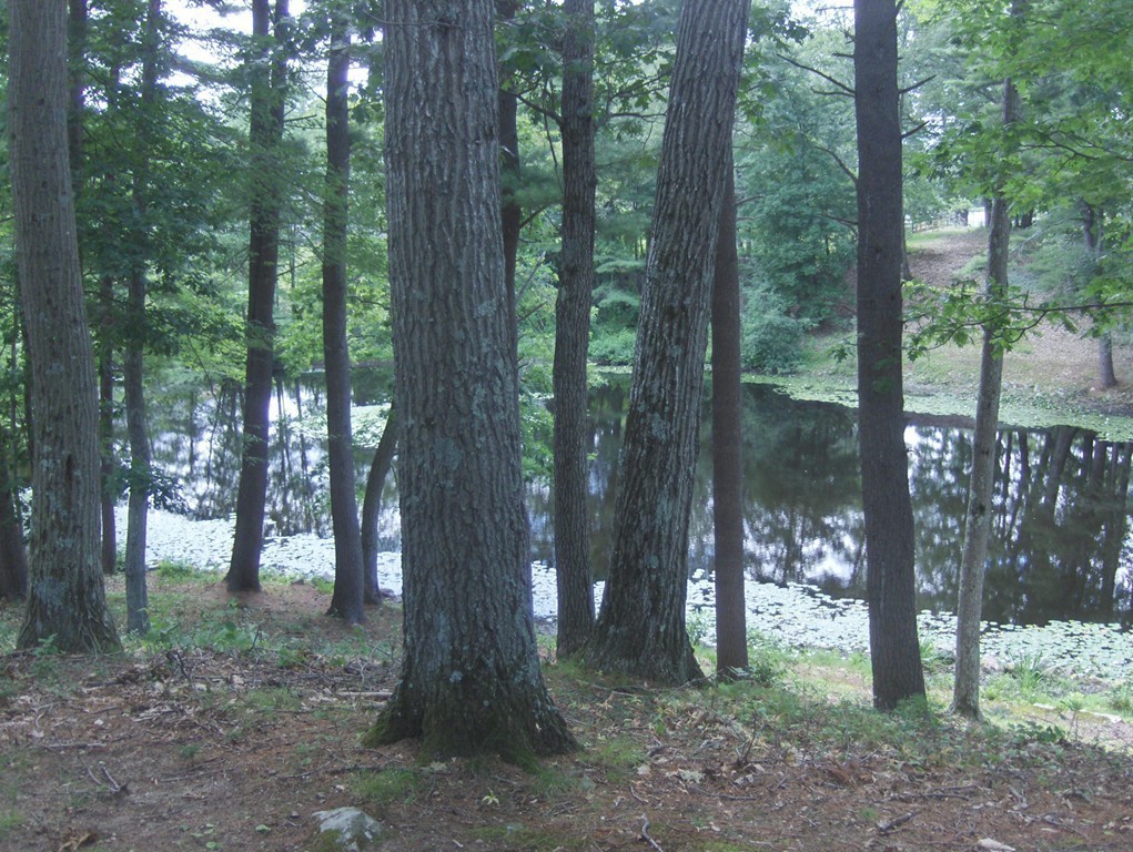 18 Hollow Tree Road Boxford, MA 01921 - Photo 27 of 30