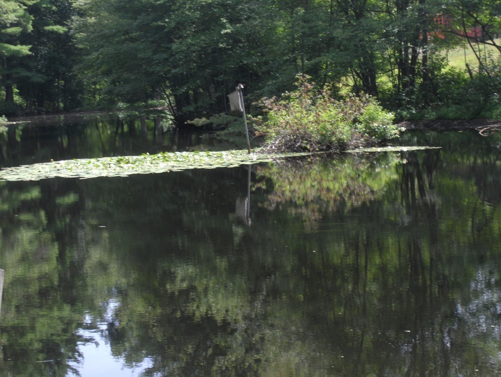 18 Hollow Tree Road Boxford, MA 01921 - Photo 29 of 30