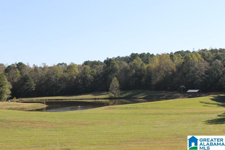 3258 Youngs Mill Road Lineville, AL 36266 - Photo 32 of 50