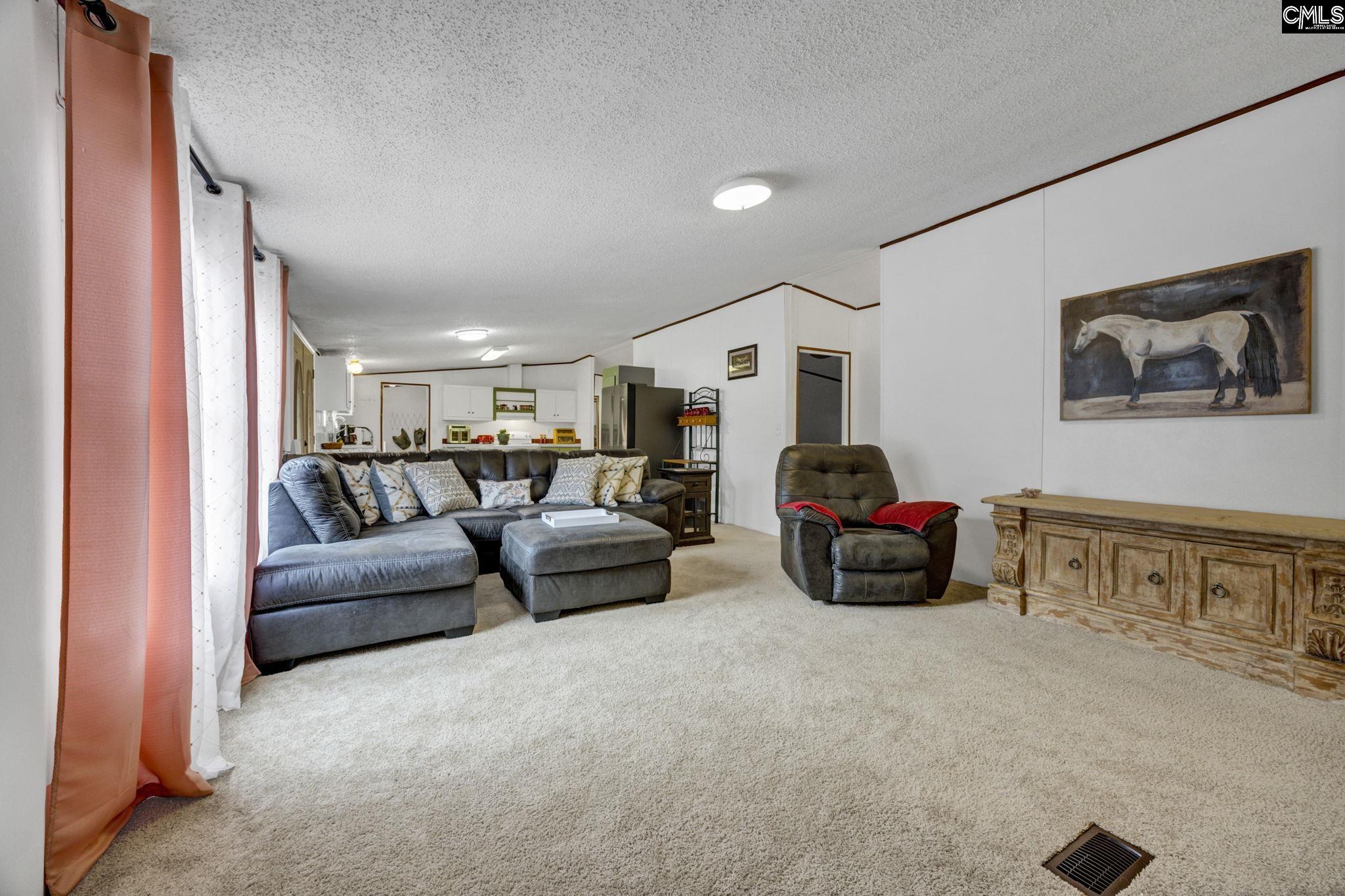 47 Belvis Road Elgin, SC 29045 - Photo 7 of 40