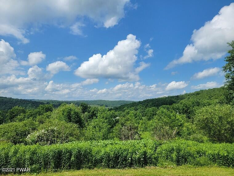 138 Bucks Road Susquehanna, PA 18847 - Photo 2 of 29 View!