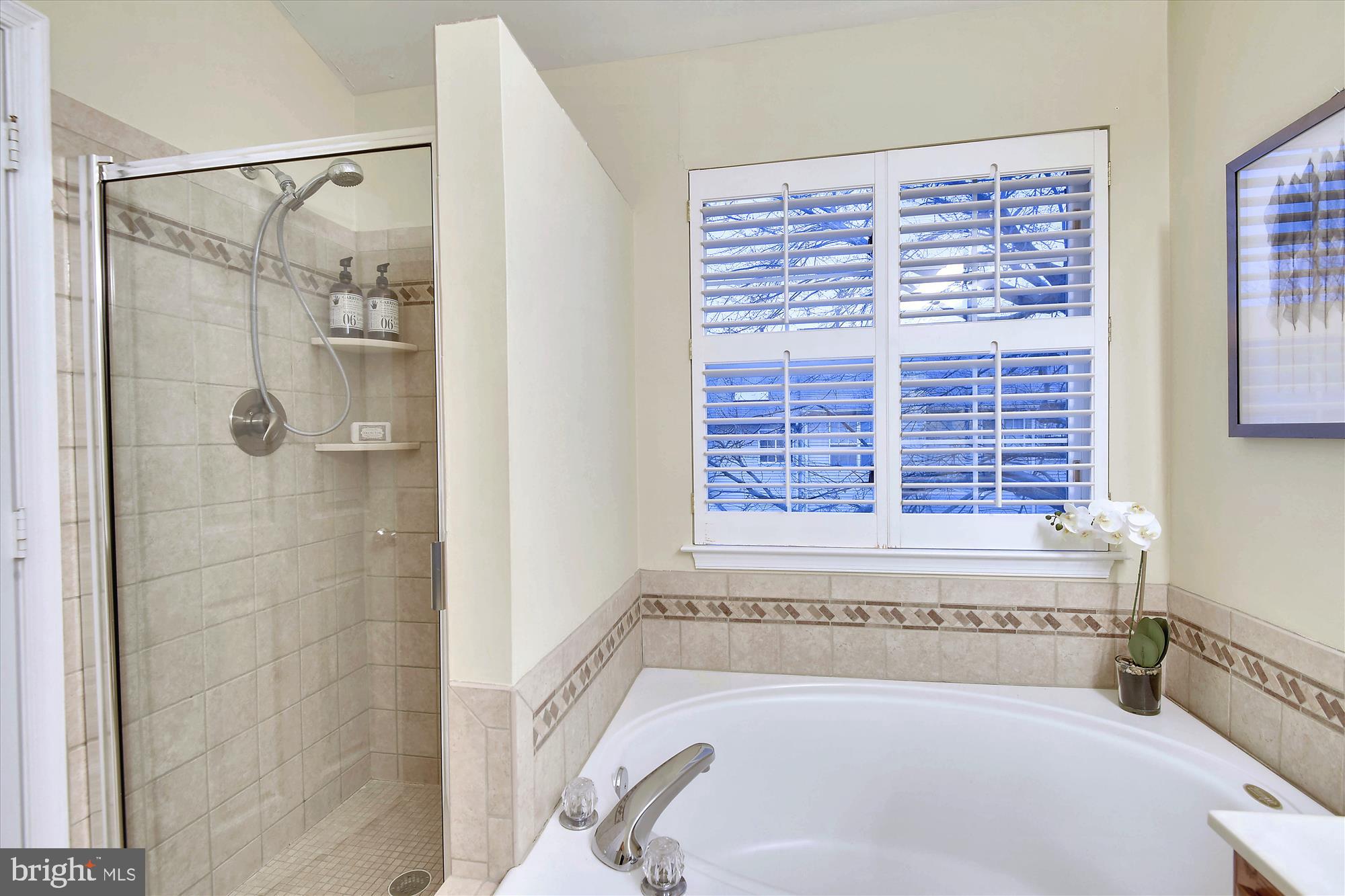 2828 Roesh Way Vienna, VA 22181 - Photo 17 of 36 Owner's Bath: Tub and Shower