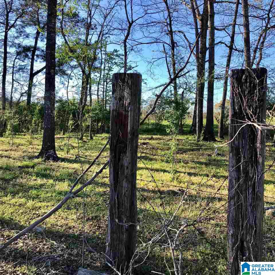 43-acres Wills Farm Road, Unit 43 ACRES Lincoln, AL 35096 - Photo 2 of 19