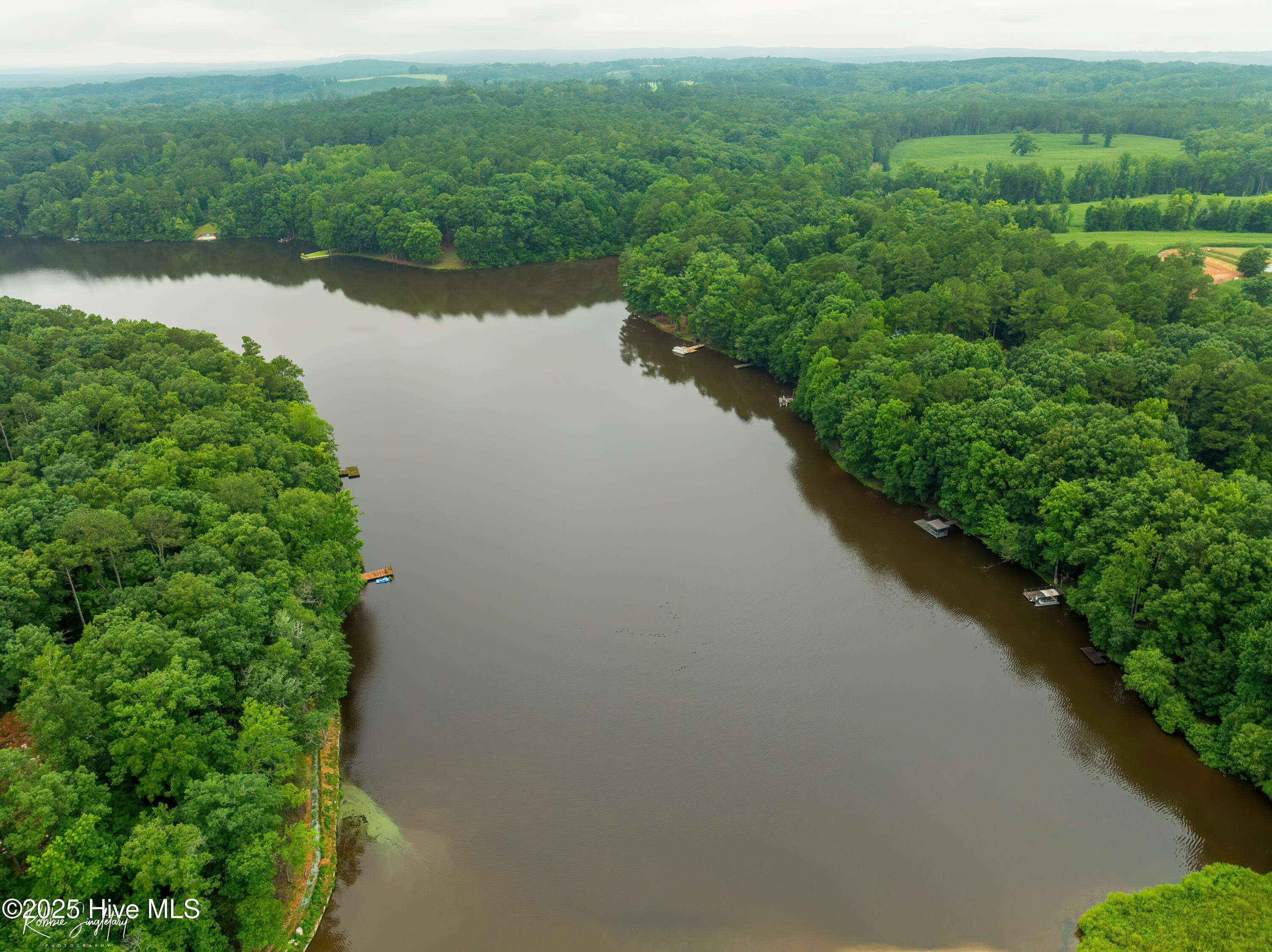 299 Rankin Lake Road Ellerbe, NC 28338 - Photo 51 of 61 RS 1 DJI_0544