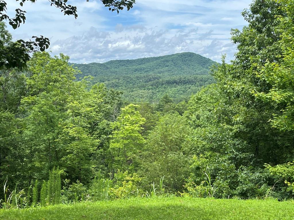 210 Autumn View Lane Murphy, NC 28906 - Photo 1 of 32 Main View