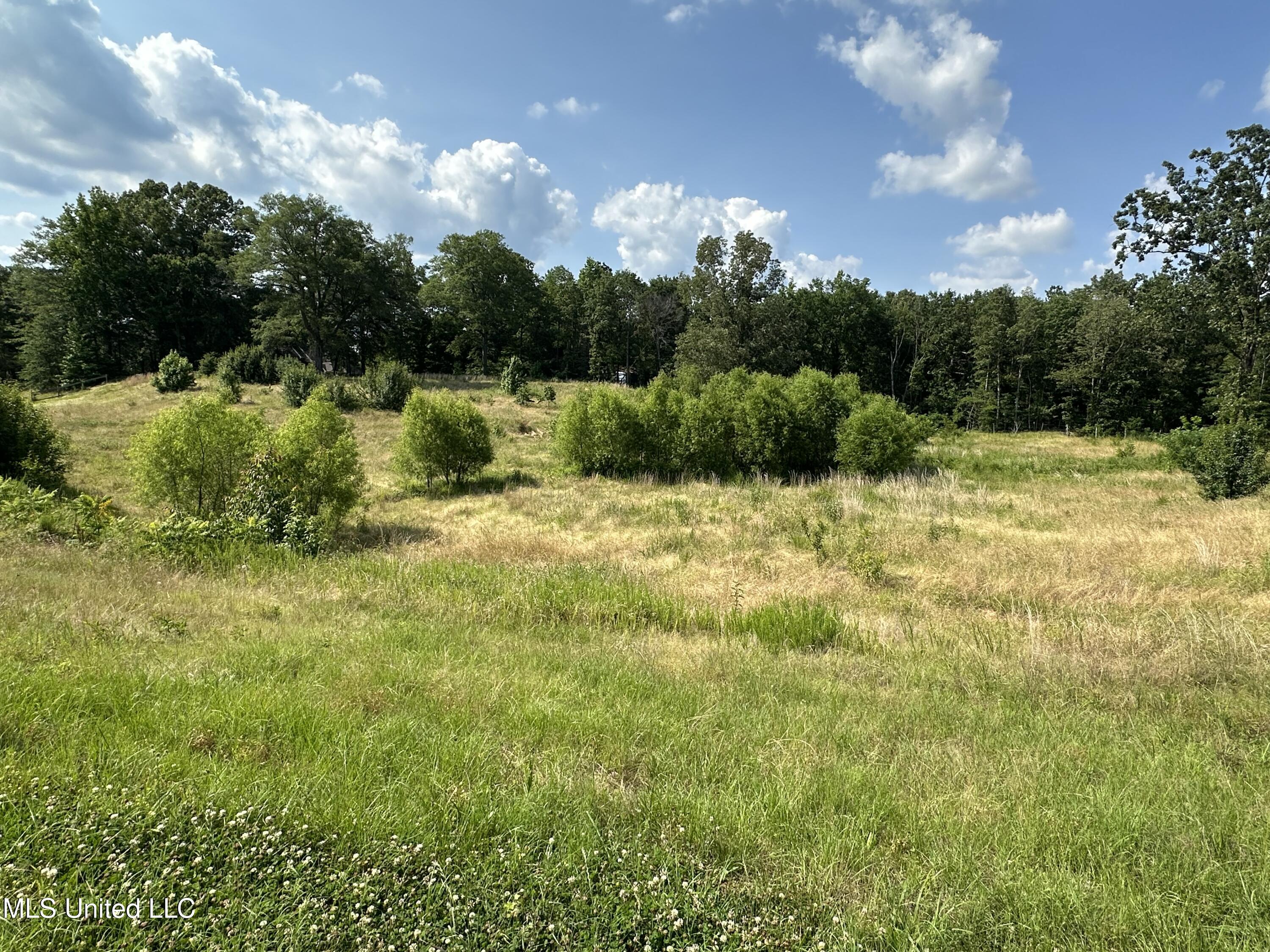 9050 Kerri Ruth Road Hernando, MS 38632 - Photo 2 of 4 IMG_2164