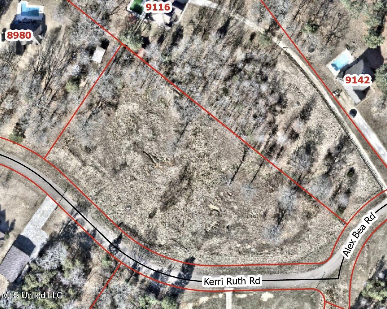 9050 Kerri Ruth Road Hernando, MS 38632 - Photo 3 of 4 IMG_2167