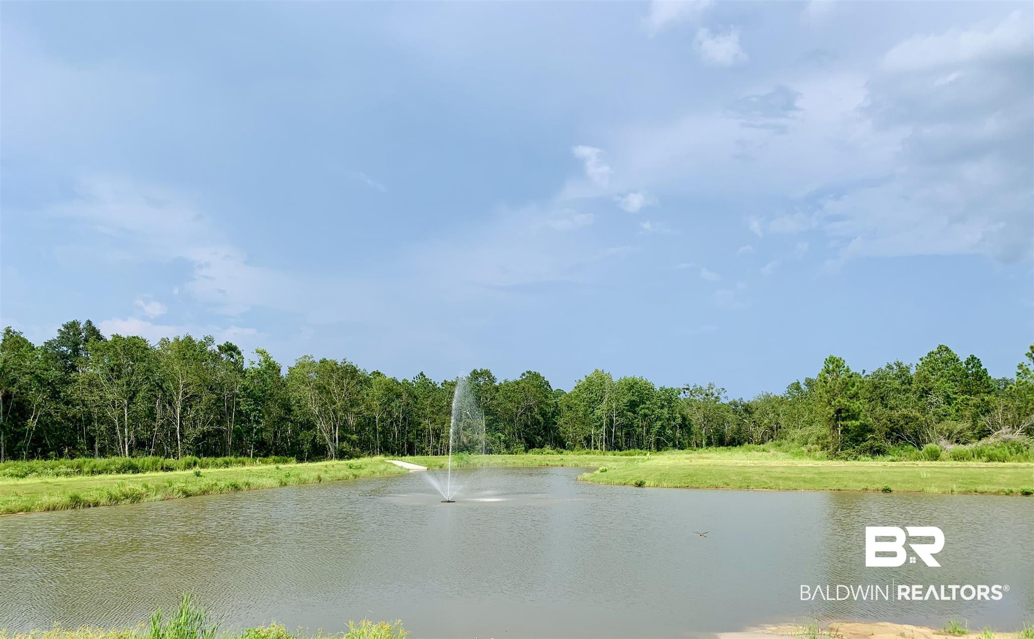 Lot 53 Travis Stock Street Foley, AL 36535 - Photo 5 of 7