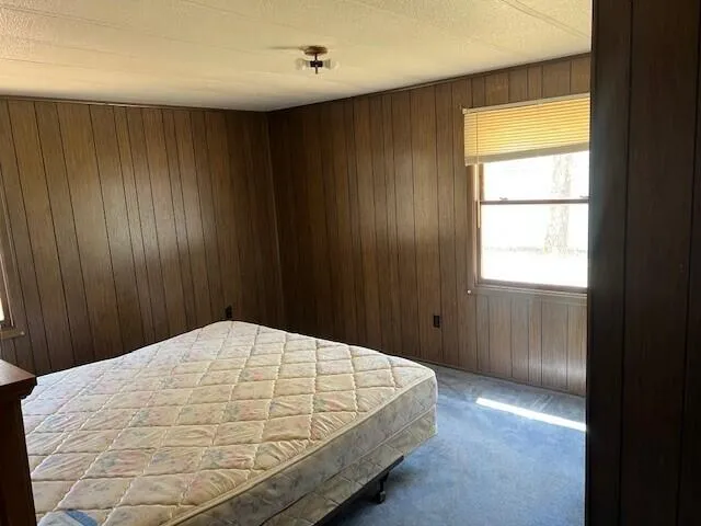 $45,121 | 13553 South Star Lake Drive, Baldwin, MI 49304