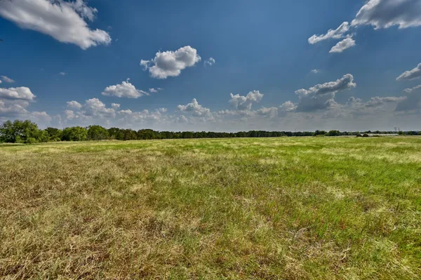 $749,900 | Tbd Tbd Fm-60, Caldwell, TX 77836
