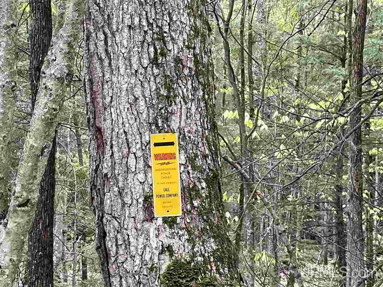 0 County Road 577 Road, Unit ANNA RIVER RDP Munising, MI 49862 - Photo 16 of 26