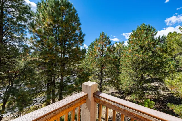 a view of a tree with wooden fence