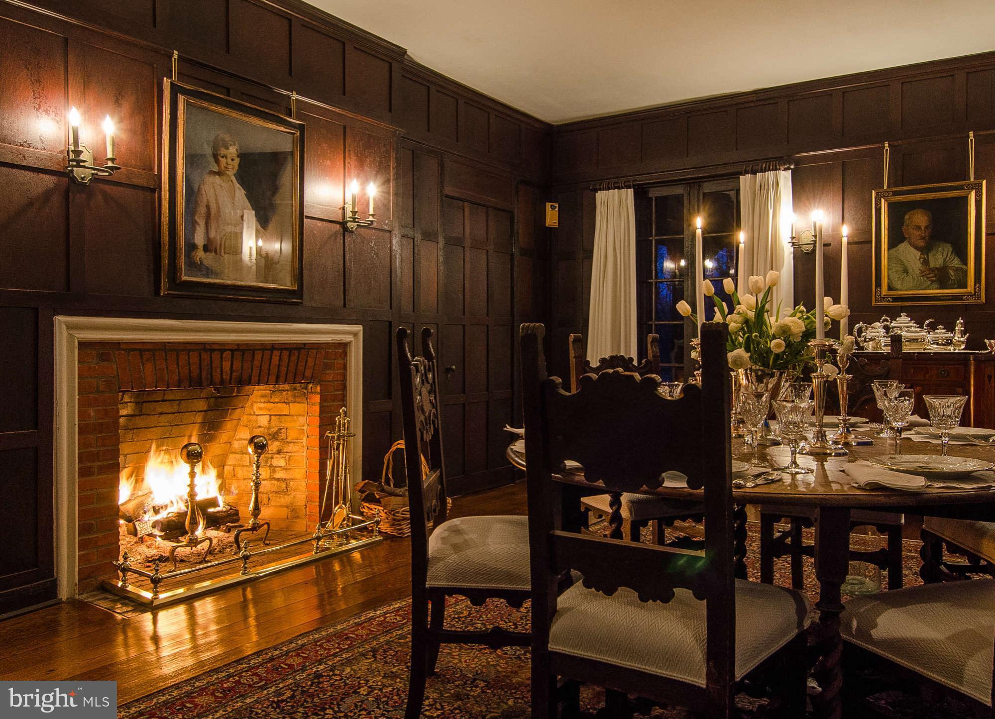 2059 Maidstone Farm Road Annapolis, MD 21409 - Photo 14 of 29 These fireplaces roar!!