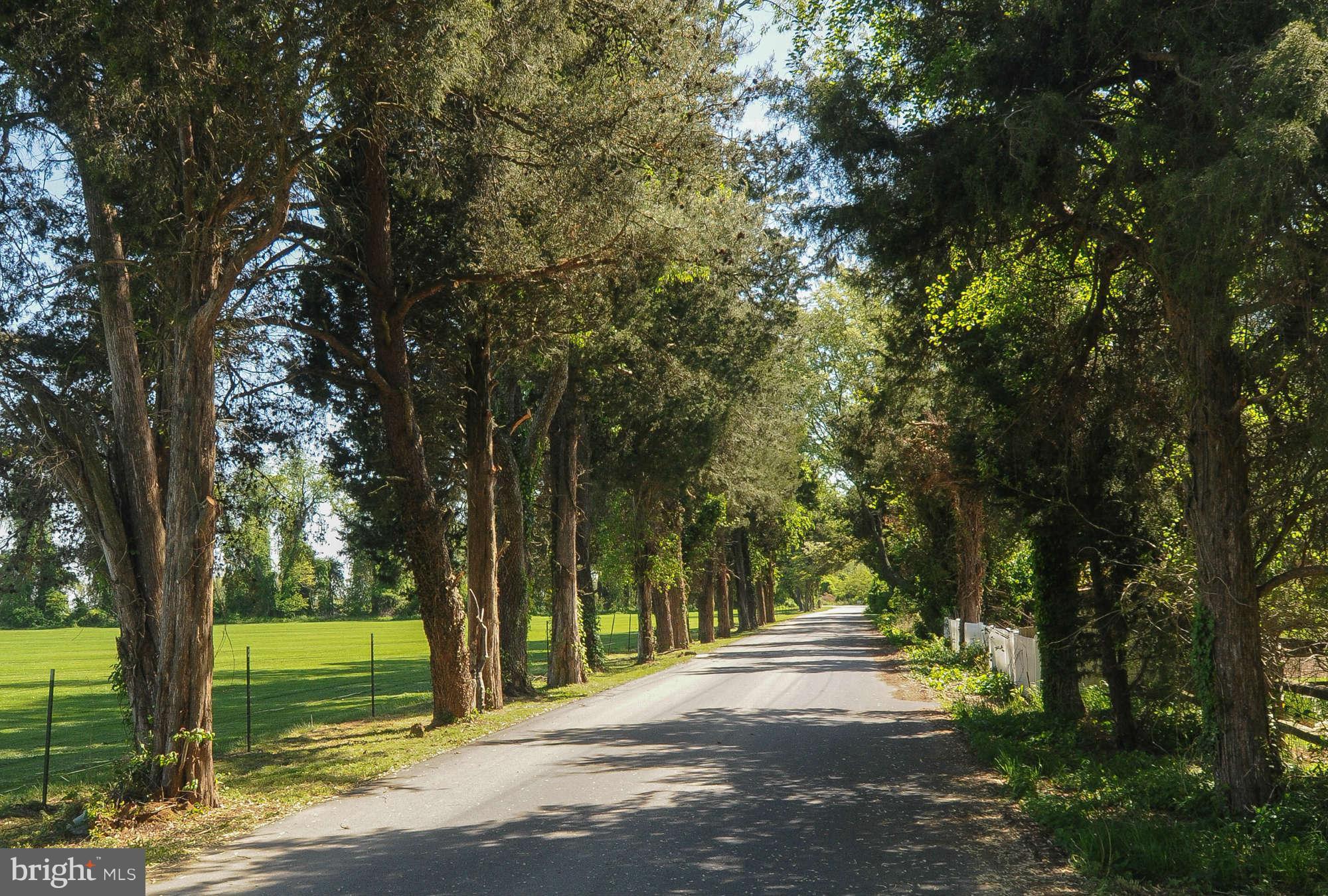 2059 Maidstone Farm Road Annapolis, MD 21409 - Photo 20 of 29 Stately Entrance