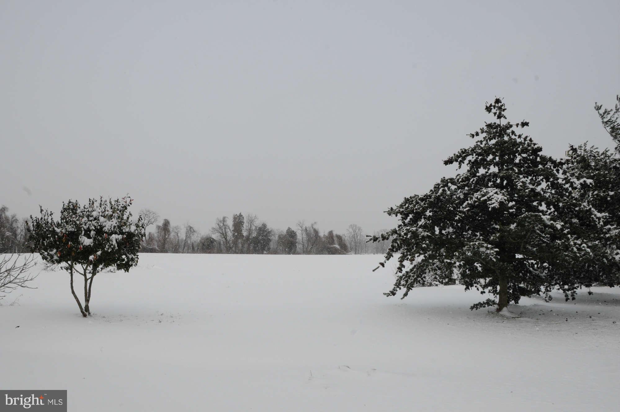2059 Maidstone Farm Road Annapolis, MD 21409 - Photo 28 of 29 Magical snow photos