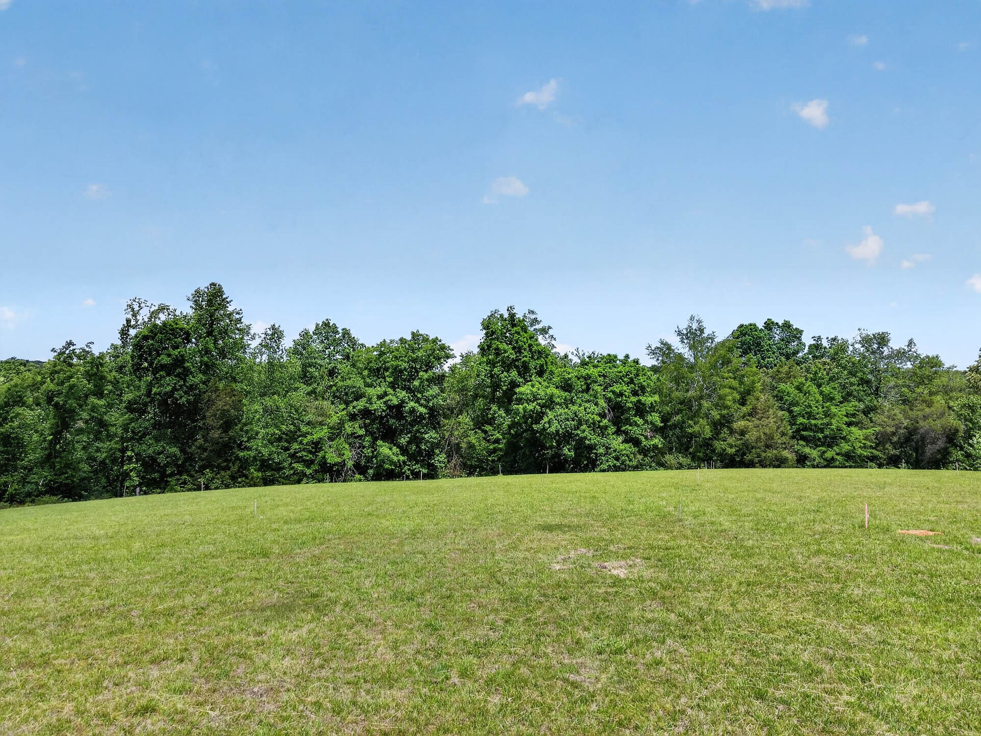 7393 South Harpeth Road Franklin, TN 37064 - Photo 14 of 27