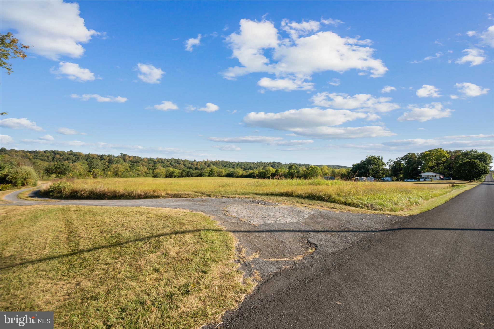 Ridge Hollow Road Edinburg, VA 22824 - Photo 6 of 17 Lot Landscape