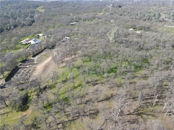 a view of a dry yard with trees in the background