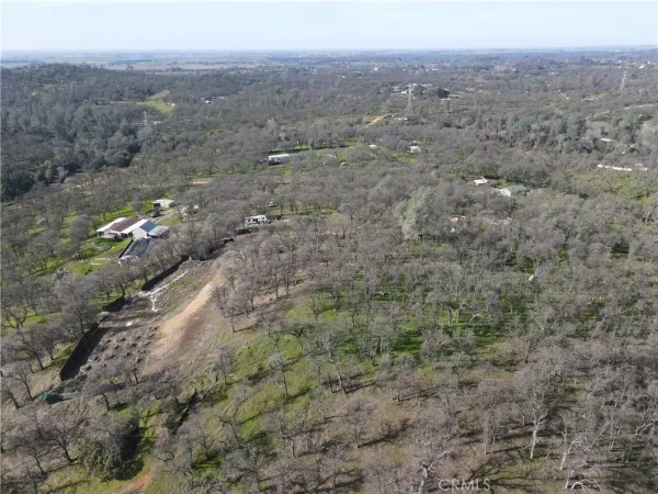 a view of dirt field with trees