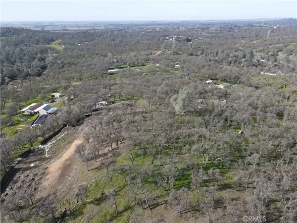 a view of a dry yard with trees