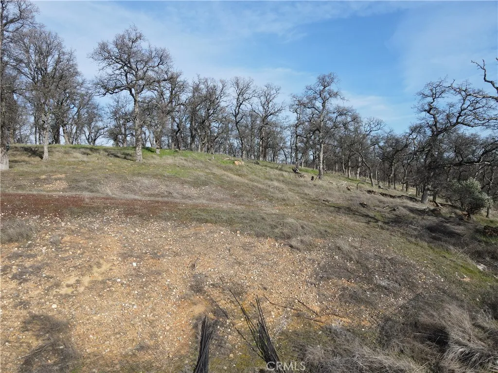0 Reginald Way Palermo, CA 95968 - Photo 19 of 75 a view of dirt field with trees in the background