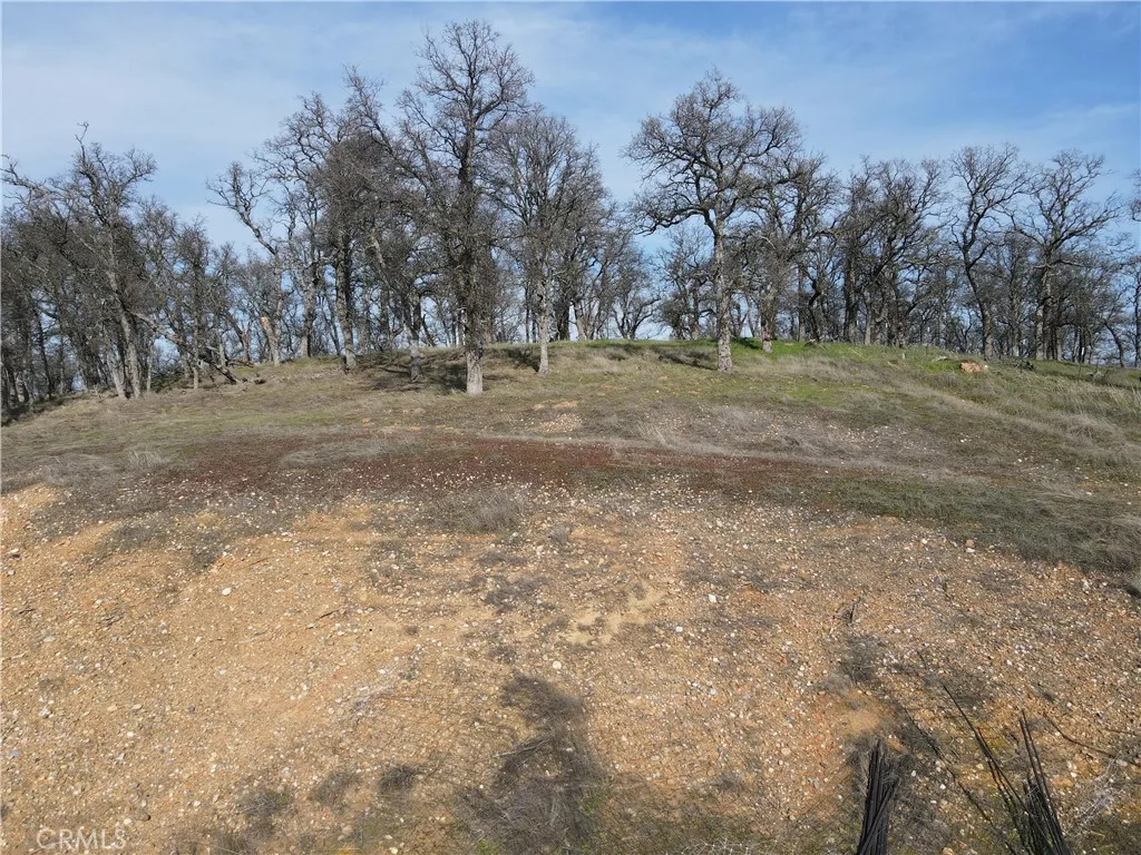 0 Reginald Way Palermo, CA 95968 - Photo 20 of 75 a view of dirt field with trees