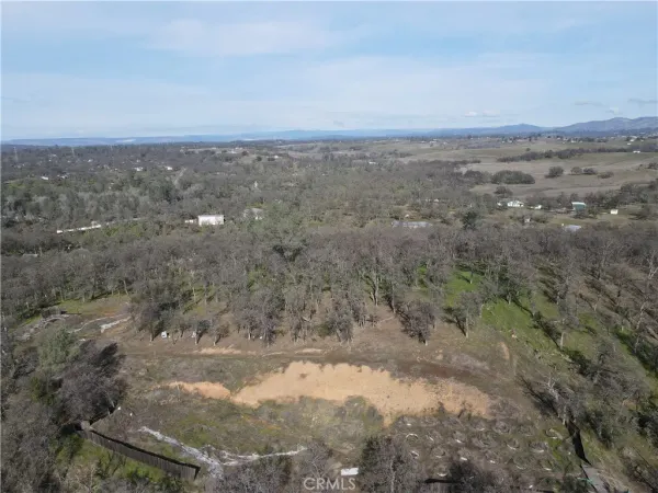 a view of a yard with trees