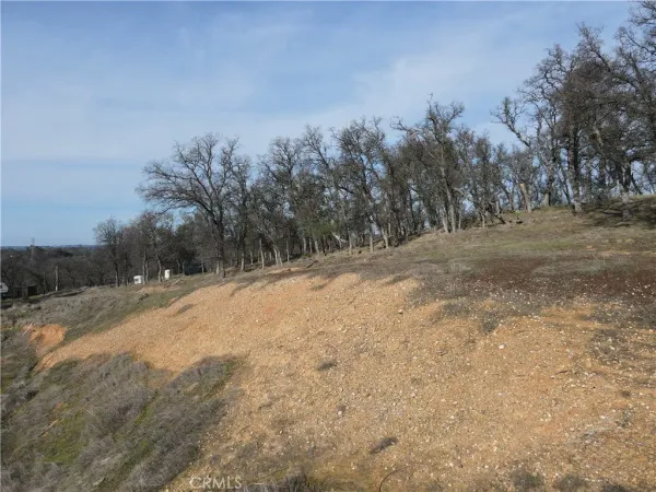 a view of outdoor space with green field and trees all around