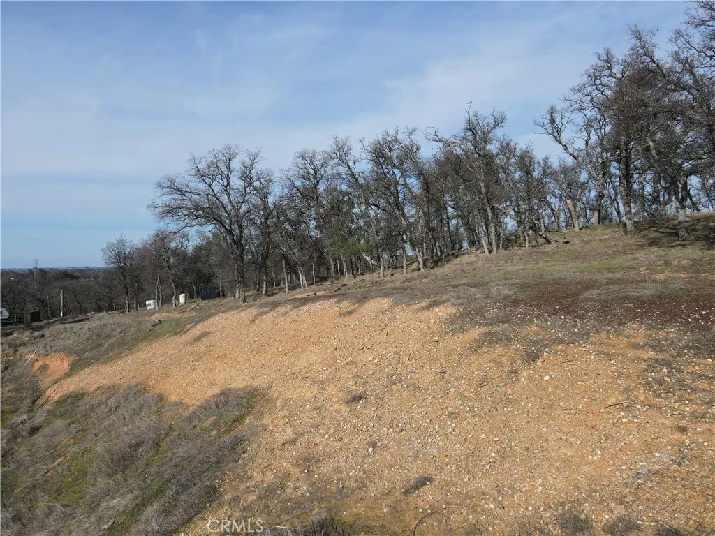 0 Reginald Way Palermo, CA 95968 - Photo 21 of 75 a view of a dry yard with trees
