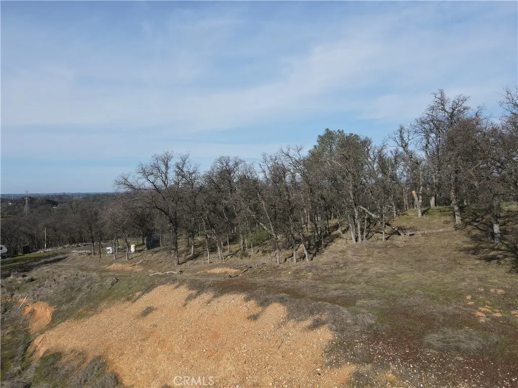 0 Reginald Way Palermo, CA 95968 - Photo 22 of 75 a view of a field with trees in the background