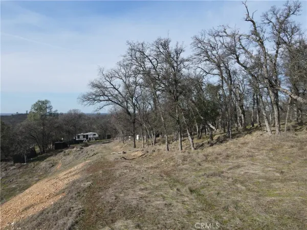 a view of city and green space