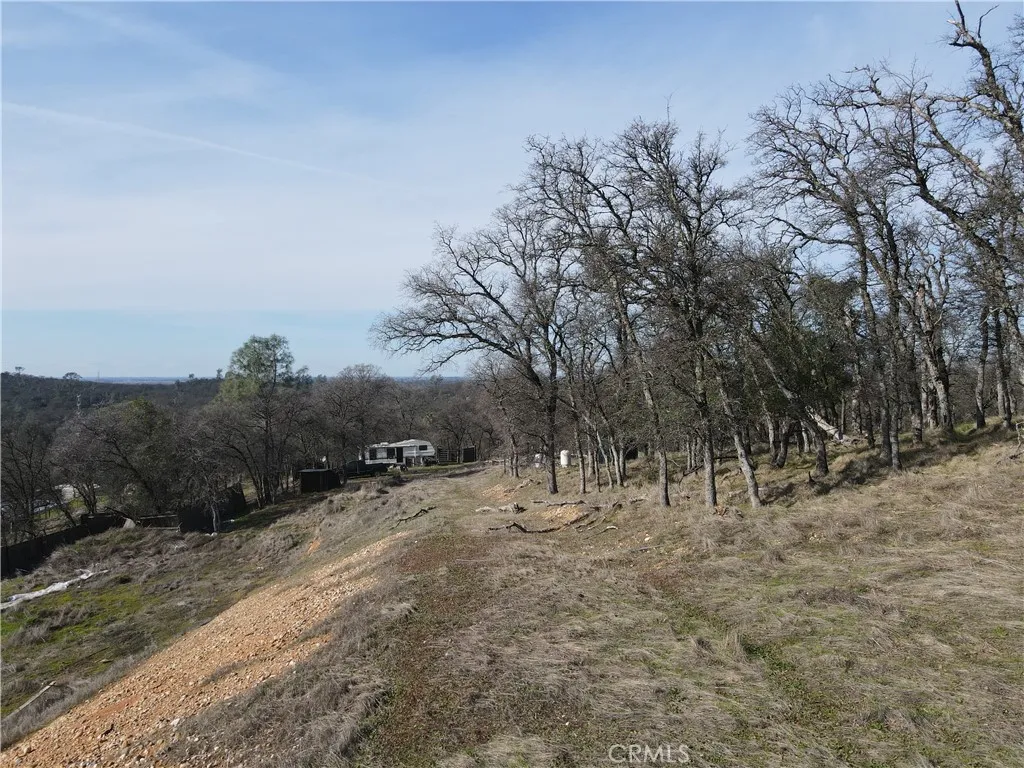 0 Reginald Way Palermo, CA 95968 - Photo 25 of 75 a view of outdoor space with trees all around