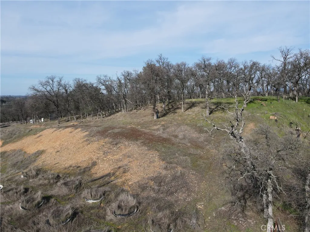 0 Reginald Way Palermo, CA 95968 - Photo 26 of 75 a view of a forest with trees in the background