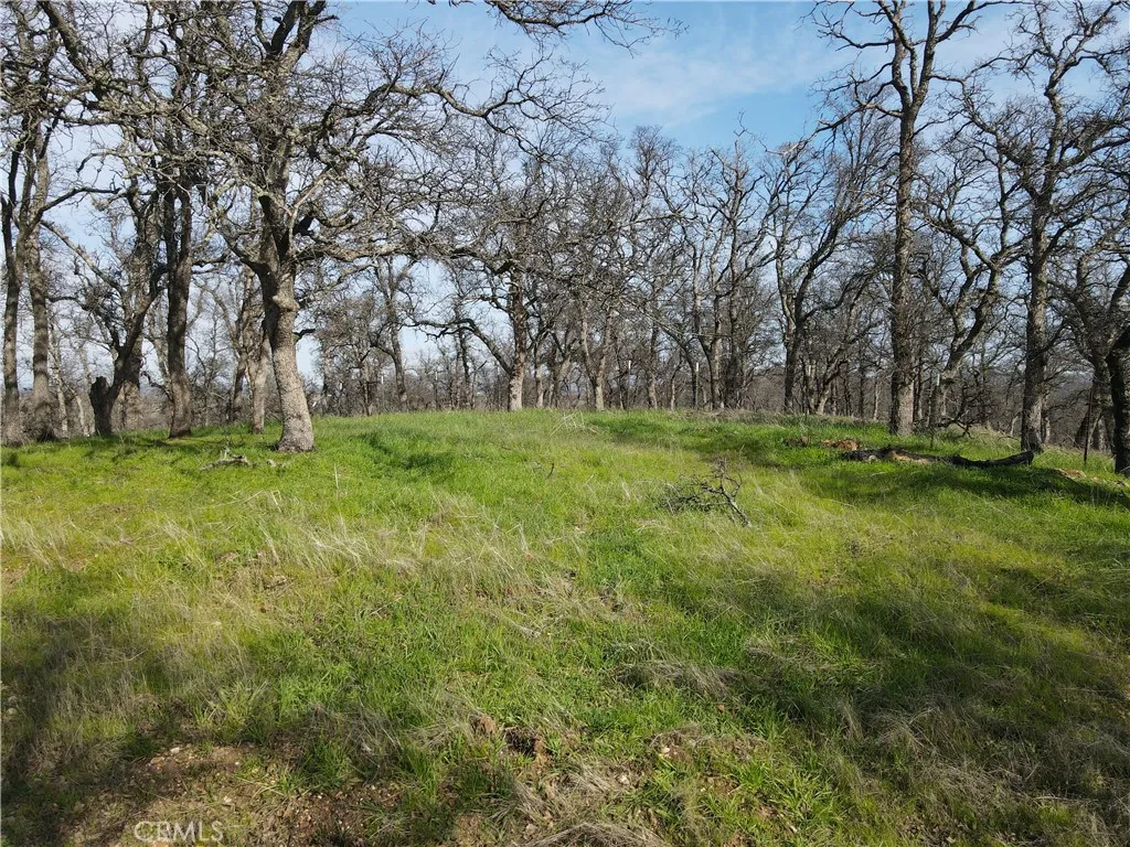 0 Reginald Way Palermo, CA 95968 - Photo 29 of 75 a view of outdoor space with trees all around