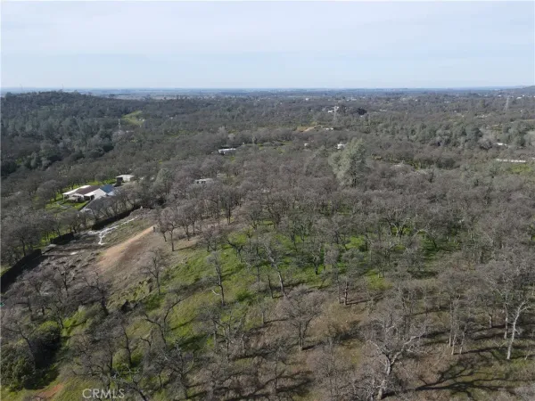 a view of outdoor space with trees all around