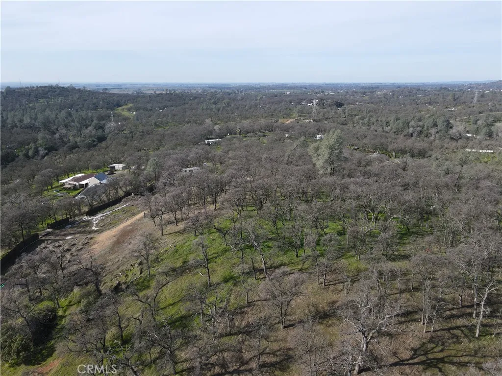 0 Reginald Way Palermo, CA 95968 - Photo 3 of 75 a view of a dry yard with lots of trees