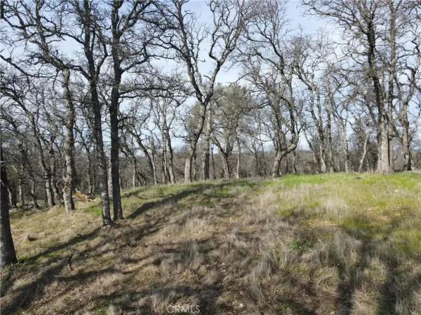 a view of dirt yard with mountain and trees