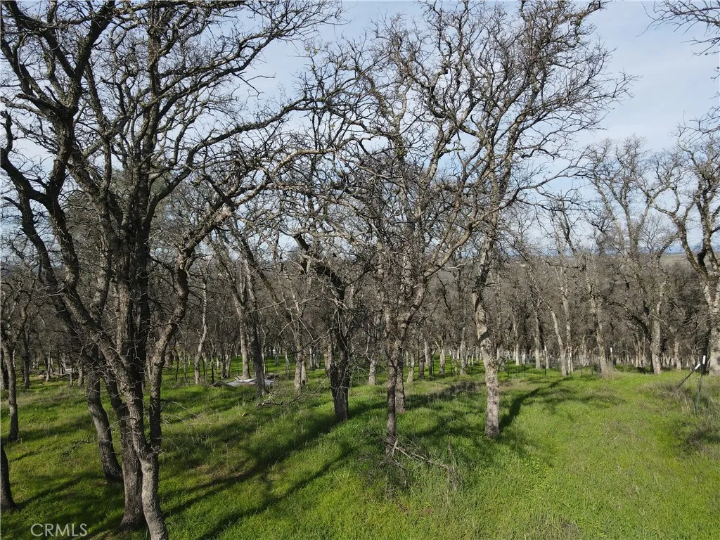 0 Reginald Way Palermo, CA 95968 - Photo 32 of 75 a view of backyard with green space