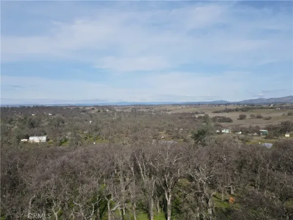 a view of dirt field with trees