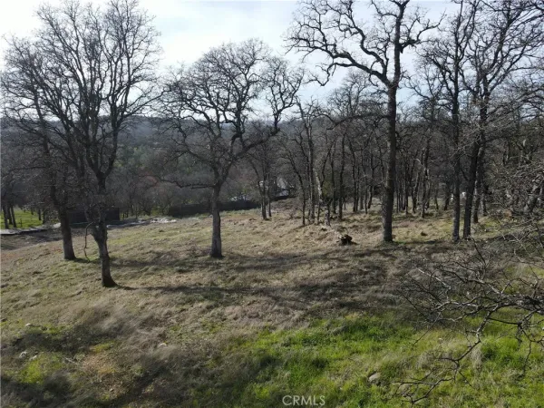 a view of outdoor space with trees