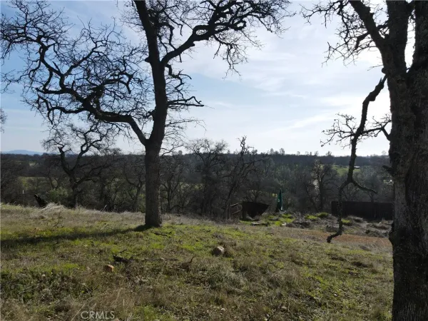 a view of outdoor space with trees