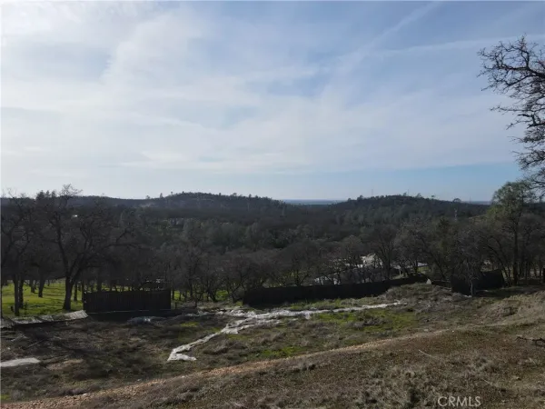 a view of a backyard with trees