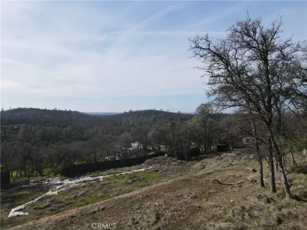 a view of a park with large trees