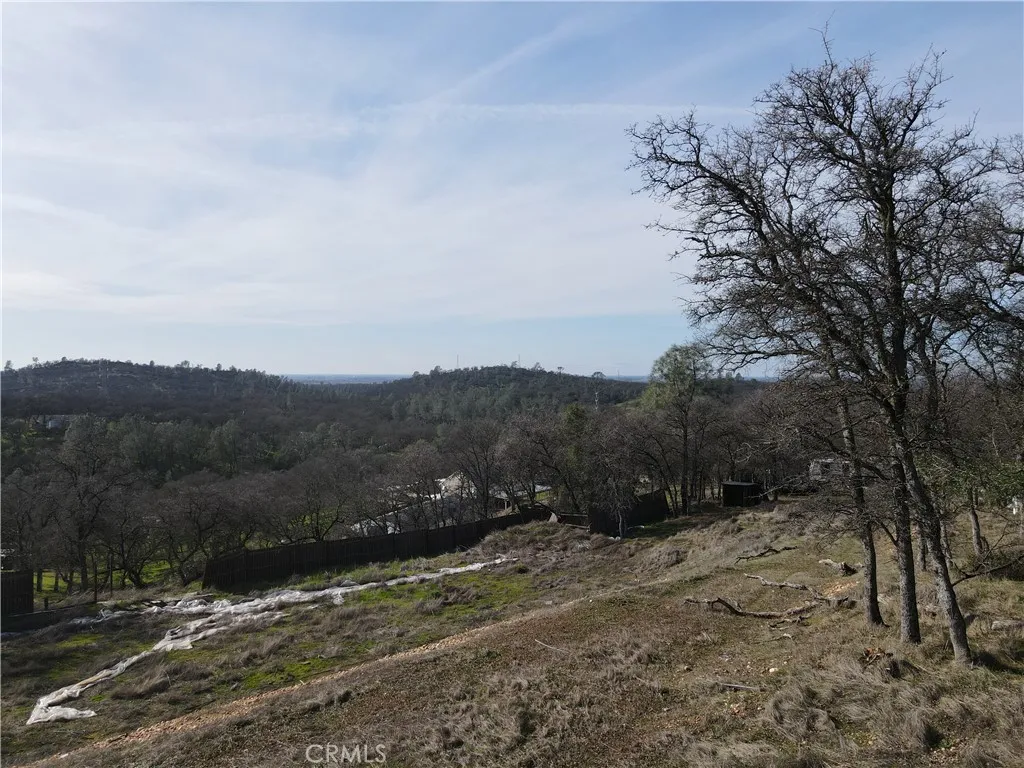 0 Reginald Way Palermo, CA 95968 - Photo 44 of 75 a view of a yard with a tree