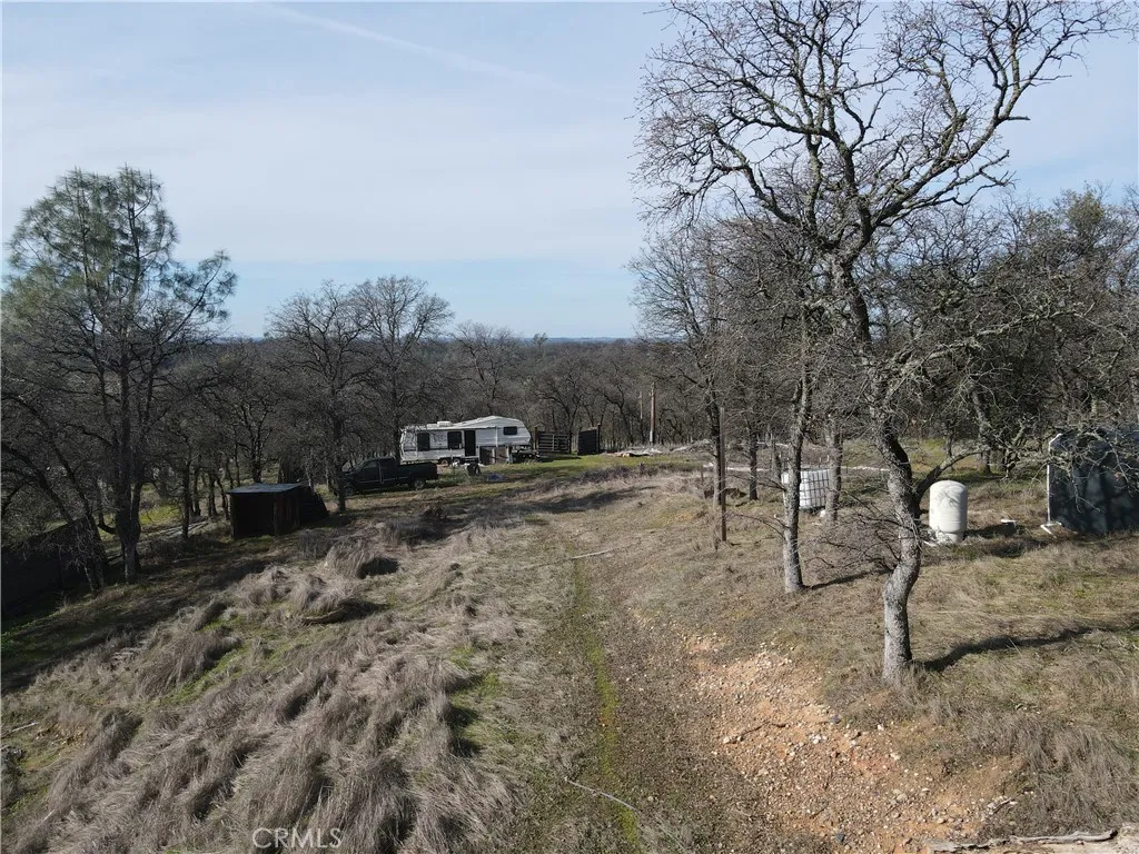0 Reginald Way Palermo, CA 95968 - Photo 46 of 75 a view of a yard with a house and trees