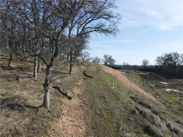 a view of outdoor space with trees