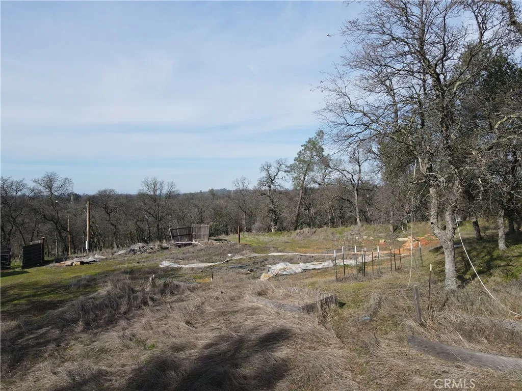 0 Reginald Way Palermo, CA 95968 - Photo 50 of 75 a view of dirt yard with mountain and trees