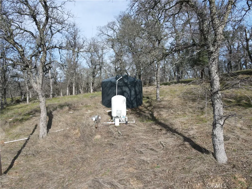 0 Reginald Way Palermo, CA 95968 - Photo 5 of 75 a view of a yard with trees