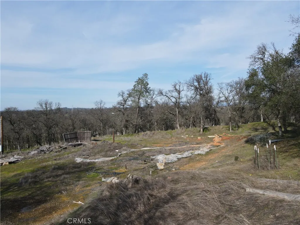 0 Reginald Way Palermo, CA 95968 - Photo 52 of 75 a view of dirt field with lots of trees
