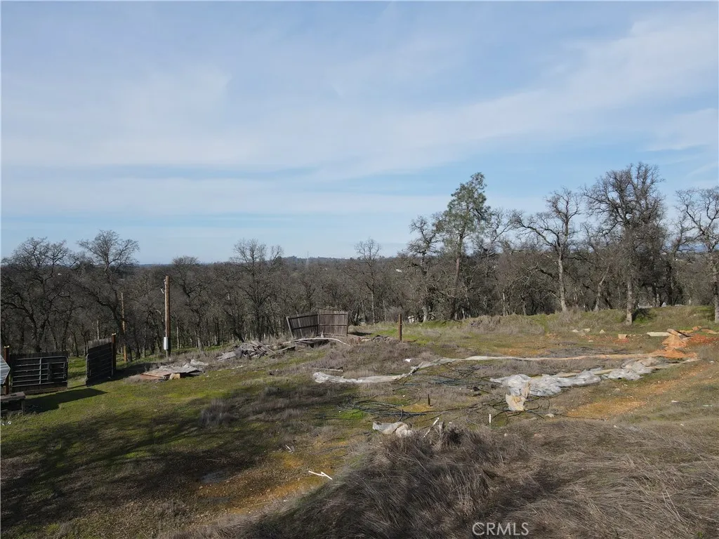 0 Reginald Way Palermo, CA 95968 - Photo 53 of 75 a view of dirt field with trees